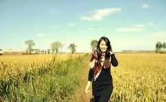 进入英语课代表腿中间作文